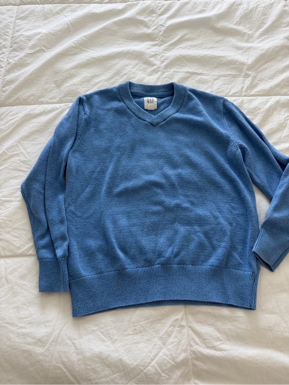 GAP Blue V-Neck Sweater